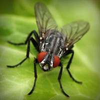 /album/www-exploraconsulting-cl/photolia-a01-jpg/