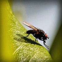 /album/www-exploraconsulting-cl/photolia-a04-jpg/