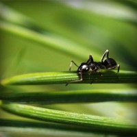 /album/www-exploraconsulting-cl/photolia-a05-jpg/