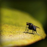 /album/www-exploraconsulting-cl/photolia-a07-jpg/