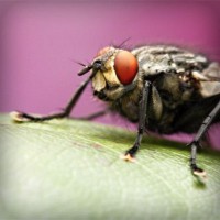 /album/www-exploraconsulting-cl/photolia-a08-jpg/